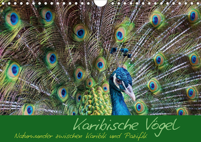 Karibische Vögel – Naturwunder zwischen Karibik und Pazifik (Wandkalender 2021 DIN A4 quer) von M.Polok