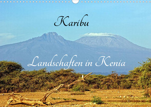 Karibu – Landschaften in Kenia (Wandkalender 2023 DIN A3 quer) von Michel / CH,  Susan