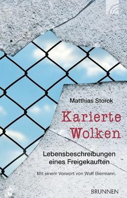 Karierte Wolken von Biermann,  Wolf, Storck,  Matthias