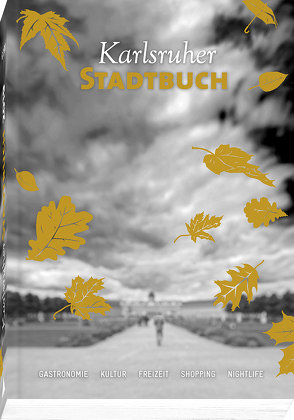 Karlsruher Stadtbuch 2019 von Karlsruher Stadtbuch Verlag