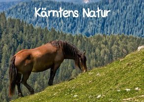 Kärntens Natur (Posterbuch DIN A4 quer) von Wunderlich,  Simone