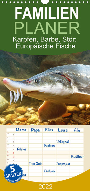 Familienplaner Karpfen, Barbe, Stör: Europäische Fische (Wandkalender 2022 , 21 cm x 45 cm, hoch) von CALVENDO