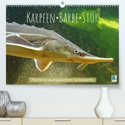 Karpfen, Barbe, Stör: Fische in europäischen Gewässern (Premium, hochwertiger DIN A2 Wandkalender 2023, Kunstdruck in Hochglanz) von CALVENDO