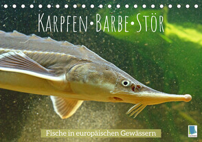 Karpfen, Barbe, Stör: Fische in europäischen Gewässern (Tischkalender 2023 DIN A5 quer) von CALVENDO