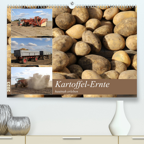 Kartoffel-Ernte – hautnah erleben (Premium, hochwertiger DIN A2 Wandkalender 2023, Kunstdruck in Hochglanz) von SchnelleWelten