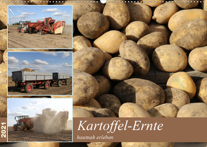 Kartoffel-Ernte – hautnah erleben (Wandkalender 2021 DIN A2 quer) von SchnelleWelten