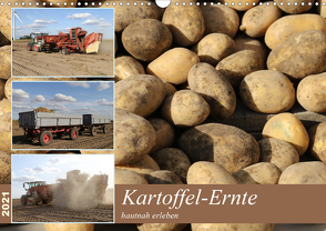 Kartoffel-Ernte – hautnah erleben (Wandkalender 2021 DIN A3 quer) von SchnelleWelten