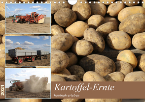 Kartoffel-Ernte – hautnah erleben (Wandkalender 2021 DIN A4 quer) von SchnelleWelten