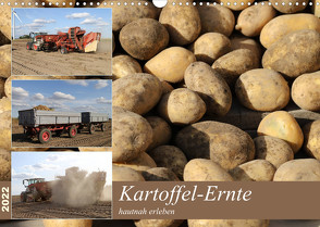 Kartoffel-Ernte – hautnah erleben (Wandkalender 2022 DIN A3 quer) von SchnelleWelten