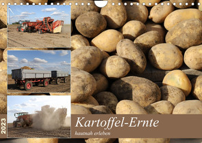 Kartoffel-Ernte – hautnah erleben (Wandkalender 2023 DIN A4 quer) von SchnelleWelten