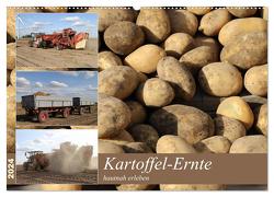 Kartoffel-Ernte – hautnah erleben (Wandkalender 2024 DIN A2 quer), CALVENDO Monatskalender von SchnelleWelten,  SchnelleWelten