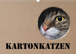 Karton Katzen (Wandkalender 2023 DIN A3 quer) von Nilson,  Thorsten