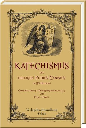 Katechismus des heiligen Petrus Canisius in 113 Bildern von Canisius,  Petrus, Morel,  Gall