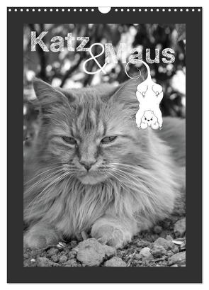 Katz & Maus (Wandkalender 2024 DIN A3 hoch), CALVENDO Monatskalender von Koch,  Julia