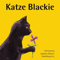 Katze Blackie von Vlahovic,  Jugoslav