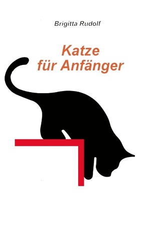 Katze für Anfänger von Rudolf,  Brigitta