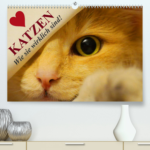 Katzen • Wie sie wirklich sind! (Premium, hochwertiger DIN A2 Wandkalender 2022, Kunstdruck in Hochglanz) von Stanzer,  Elisabeth