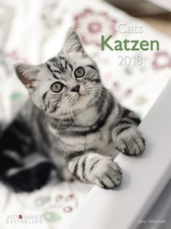 Katzen 2018