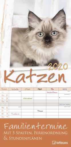 Katzen 2020 Familienplaner
