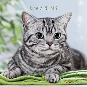 Katzen 2021 – Broschürenkalender 30×30 cm (30×60 geöffnet) – Cats – Bild-Kalender – Wandplaner – mit Platz für Notizen – Alpha Edition