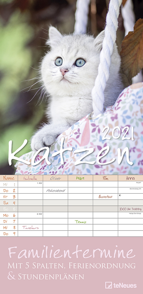 Katzen 2021 Familienplaner – Familien-Timer – Termin-Planer – Kinder-Kalender – Familien-Kalender – 22×45