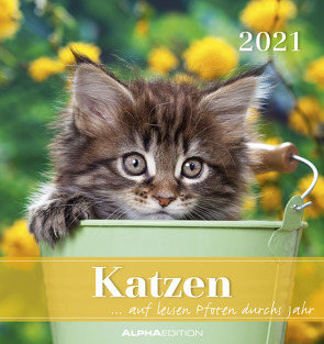 Katzen 2021 – Postkartenkalender 16×17 cm – Cats – zum aufstellen oder aufhängen – Geschenk-Idee – Gadget – Alpha Edition