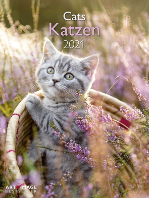 Katzen 2021 – Wand-Kalender – A&I – 48×64 – Tier-Kalender