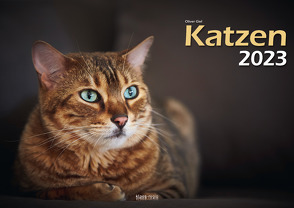 Katzen 2023 Bildkalender A3 quer – Oliver Giel von Giel,  Oliver, Klaes,  Holger