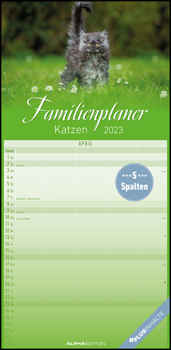 Katzen 2023 Familienplaner – Familien-Timer – Termin-Planer – Kinder-Kalender – Familien-Kalender – 22×45