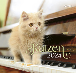 Katzen 2024