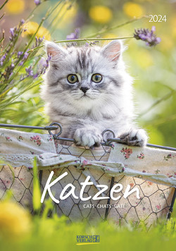 Katzen 2024 von Korsch Verlag