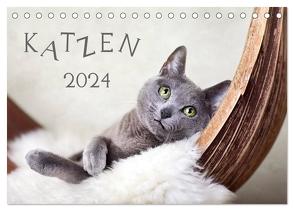 Katzen 2024 (Tischkalender 2024 DIN A5 quer), CALVENDO Monatskalender von Schwarz,  Nailia