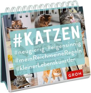 #Katzen von Groh,  Joachim