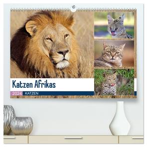 Katzen Afrikas (hochwertiger Premium Wandkalender 2024 DIN A2 quer), Kunstdruck in Hochglanz von Herzog,  Michael