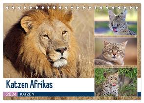 Katzen Afrikas (Tischkalender 2024 DIN A5 quer), CALVENDO Monatskalender von Herzog,  Michael