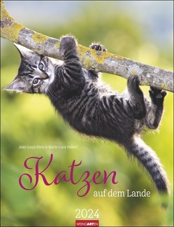 Katzen auf dem Lande Kalender 2024 von Marie-Luce Hubert,  Jean-Louis Klein