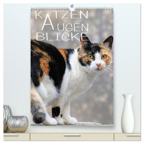KATZEN AUGEN BLICKE (hochwertiger Premium Wandkalender 2024 DIN A2 hoch), Kunstdruck in Hochglanz von Sock,  Reinhard