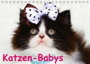 Katzen-Babys (Tischkalender immerwährend DIN A5 quer) von Stanzer,  Elisabeth