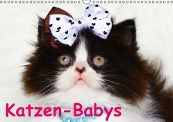 Katzen-Babys (Wandkalender immerwährend DIN A3 quer) von Stanzer,  Elisabeth