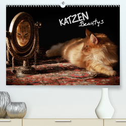KATZEN Beautys (Premium, hochwertiger DIN A2 Wandkalender 2023, Kunstdruck in Hochglanz) von Gross,  Viktor