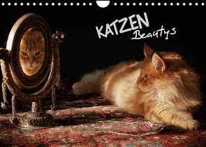 KATZEN Beautys (Wandkalender 2023 DIN A4 quer) von Gross,  Viktor