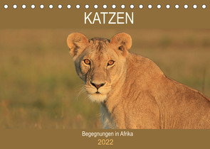 Katzen – Begegnungen in Afrika (Tischkalender 2022 DIN A5 quer) von Herzog,  Michael