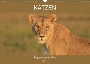 Katzen – Begegnungen in Afrika (Wandkalender 2018 DIN A3 quer) von Herzog,  Michael