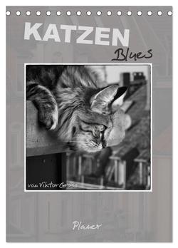 Katzen Blues / Planer (Tischkalender 2024 DIN A5 hoch), CALVENDO Monatskalender von Gross,  Viktor