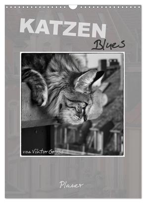 Katzen Blues / Planer (Wandkalender 2024 DIN A3 hoch), CALVENDO Monatskalender von Gross,  Viktor