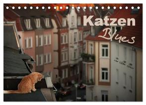 Katzen Blues (Tischkalender 2024 DIN A5 quer), CALVENDO Monatskalender von Gross,  Viktor
