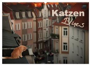 Katzen Blues (Wandkalender 2024 DIN A2 quer), CALVENDO Monatskalender von Gross,  Viktor