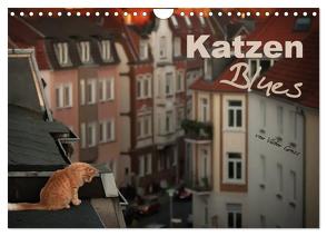 Katzen Blues (Wandkalender 2024 DIN A4 quer), CALVENDO Monatskalender von Gross,  Viktor