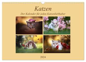 Katzen – Der Kalender für jeden Katzenliebhaber (Wandkalender 2024 DIN A3 quer), CALVENDO Monatskalender von Bürger,  Janina