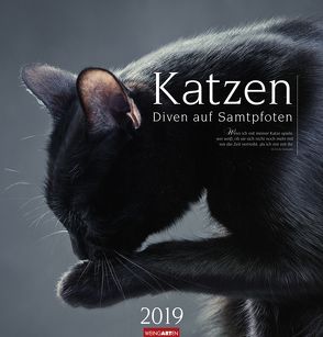 Katzen – Diven auf Samtpfoten – Kalender 2019 von Weingarten